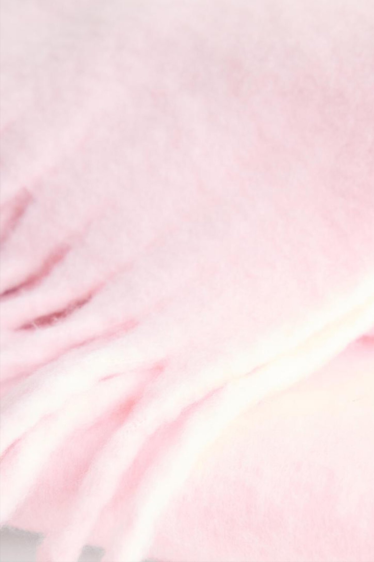 Püskül Detaylı Agnra Triko Şal