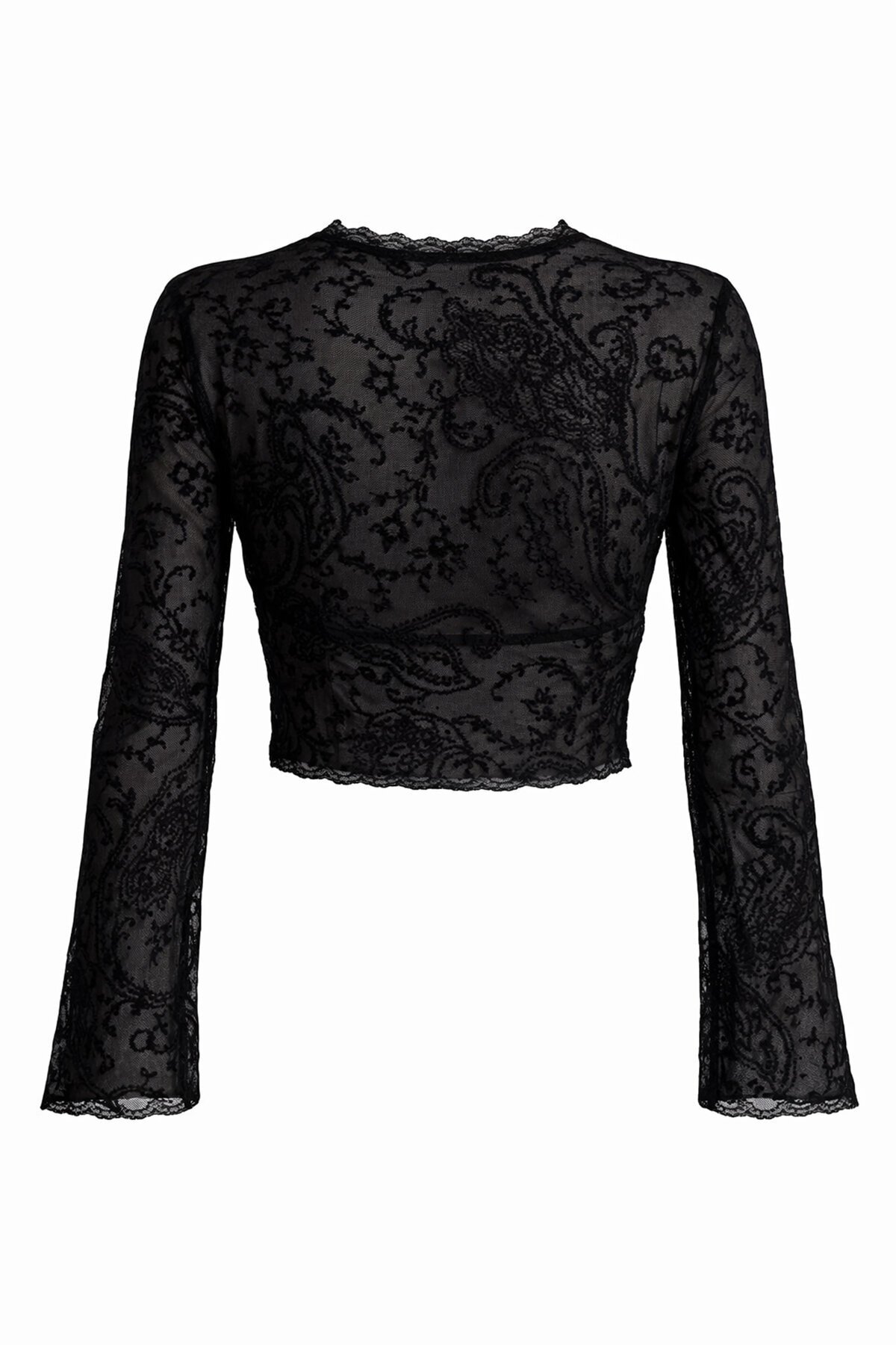 V Yaka Transparan Crop Dantel Bluz