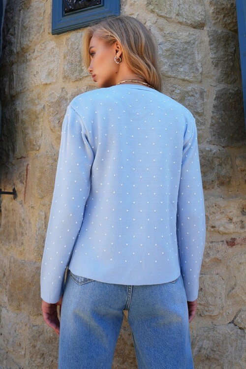 Bisiklet Yaka Düğmeli Mini Nakışlı Triko Hırka