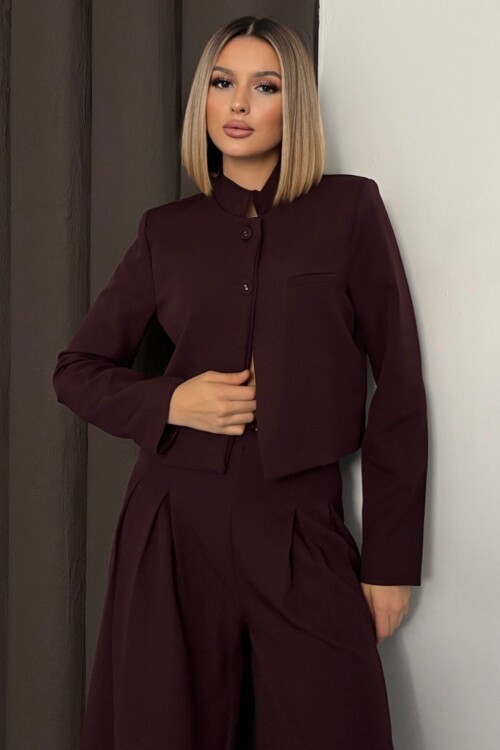 Hakim Yaka Blazer Ceket ve Pileli Palazzo Pantolon Takım