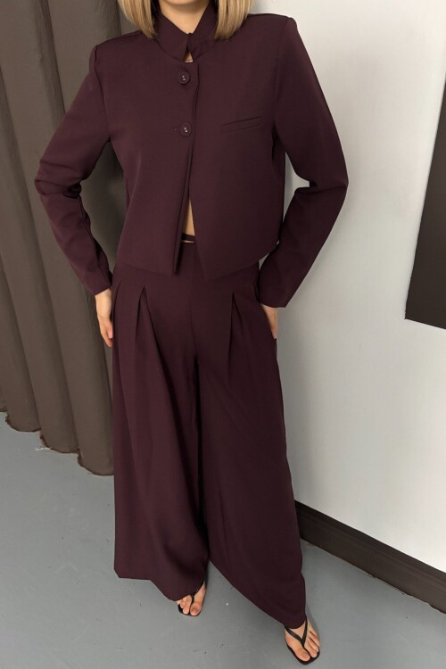 Hakim Yaka Blazer Ceket ve Pileli Palazzo Pantolon Takım