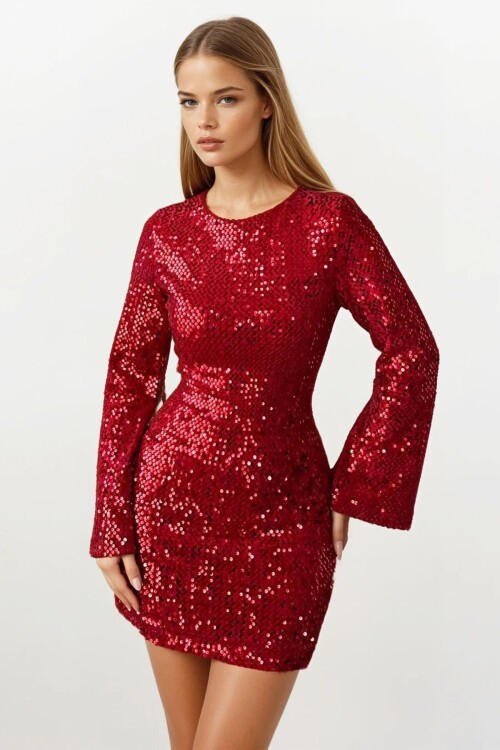 Pul Peyetli Fermuar Kapamalı Mini Elbise