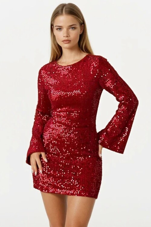 Pul Peyetli Fermuar Kapamalı Mini Elbise