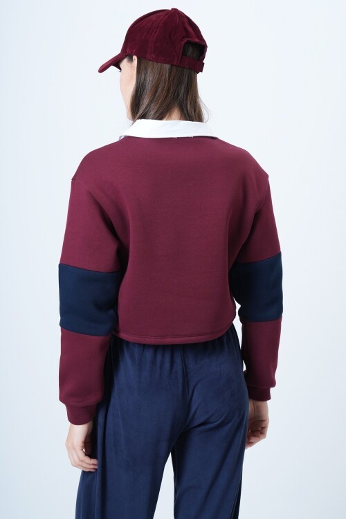 Renk Bloklu Polo Yaka Sweatshirt