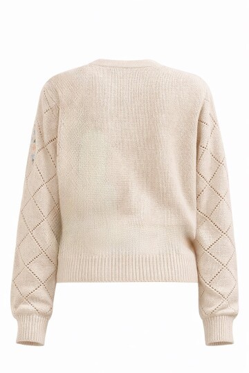 Bej Baklava Desenli Çiçek Nakışlı Triko Hırka