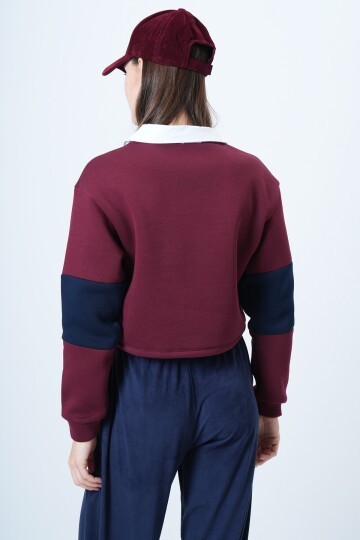Renk Bloklu Polo Yaka Sweatshirt