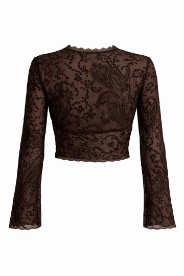 V Yaka Transparan Crop Dantel Bluz