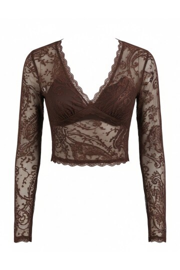 V Yaka Transparan Crop Dantel Bluz