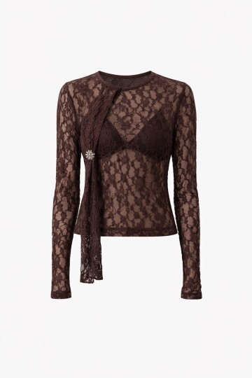 Dantel Detaylı Transparan Bluz