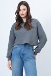 Bisiklet Yaka Dikiş Detaylı Crop Sweatshirt